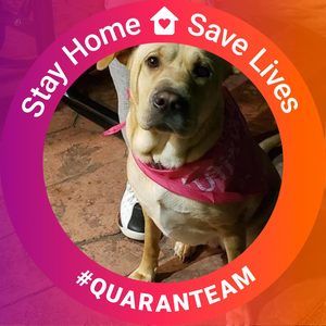 Meet your Posher, Brett